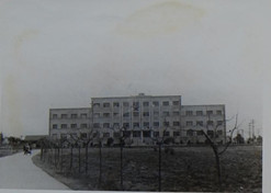 1958�꣬���������ɶ�������Ʒ�о�����������������ͨ������Ļ������⡢ˢ�ºͽ��裬���������ҹ�����������������Ʒ�о���