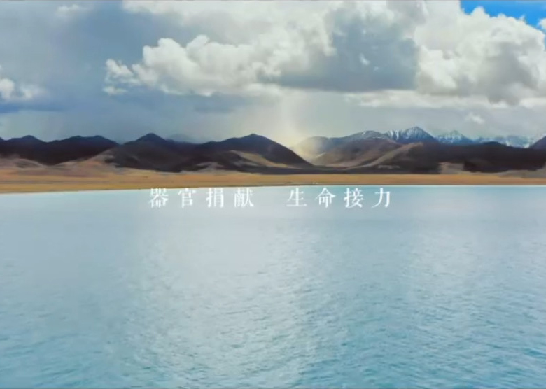 ����ļ�� ��������