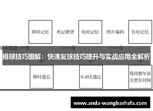 排球技巧图解：快速发球技巧提升与实战应用全解析