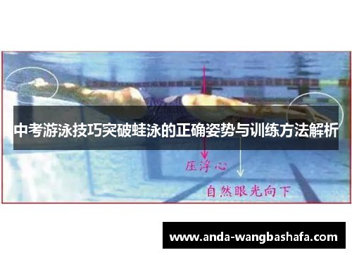 中考游泳技巧突破蛙泳的正确姿势与训练方法解析