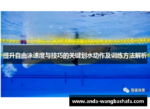 提升自由泳速度与技巧的关键划水动作及训练方法解析