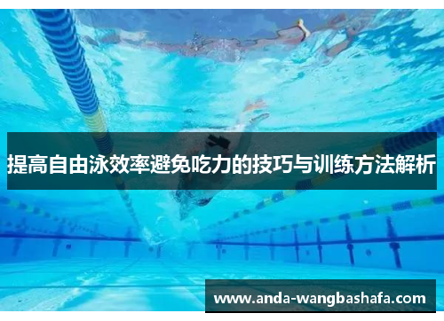 提高自由泳效率避免吃力的技巧与训练方法解析