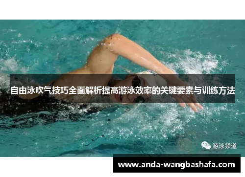 自由泳吹气技巧全面解析提高游泳效率的关键要素与训练方法