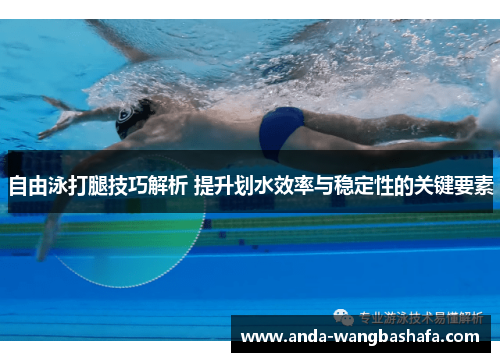 自由泳打腿技巧解析 提升划水效率与稳定性的关键要素