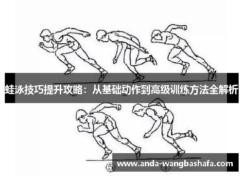 蛙泳技巧提升攻略：从基础动作到高级训练方法全解析