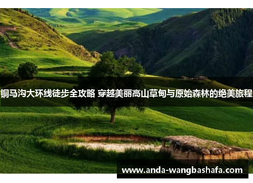 铜马沟大环线徒步全攻略 穿越美丽高山草甸与原始森林的绝美旅程